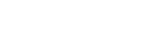 VLEMP LICENSE